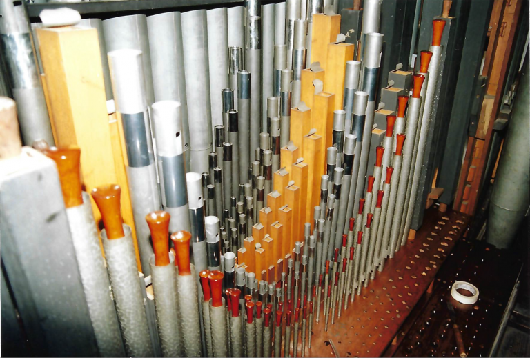Organ restoration.