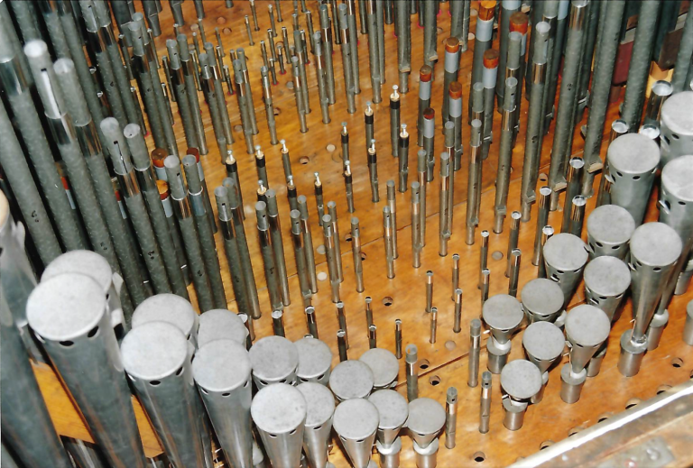 Organ restoration.