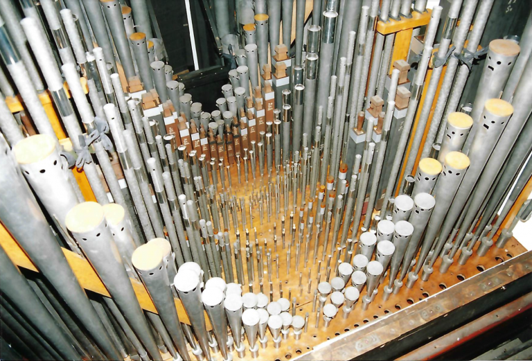 Organ restoration.